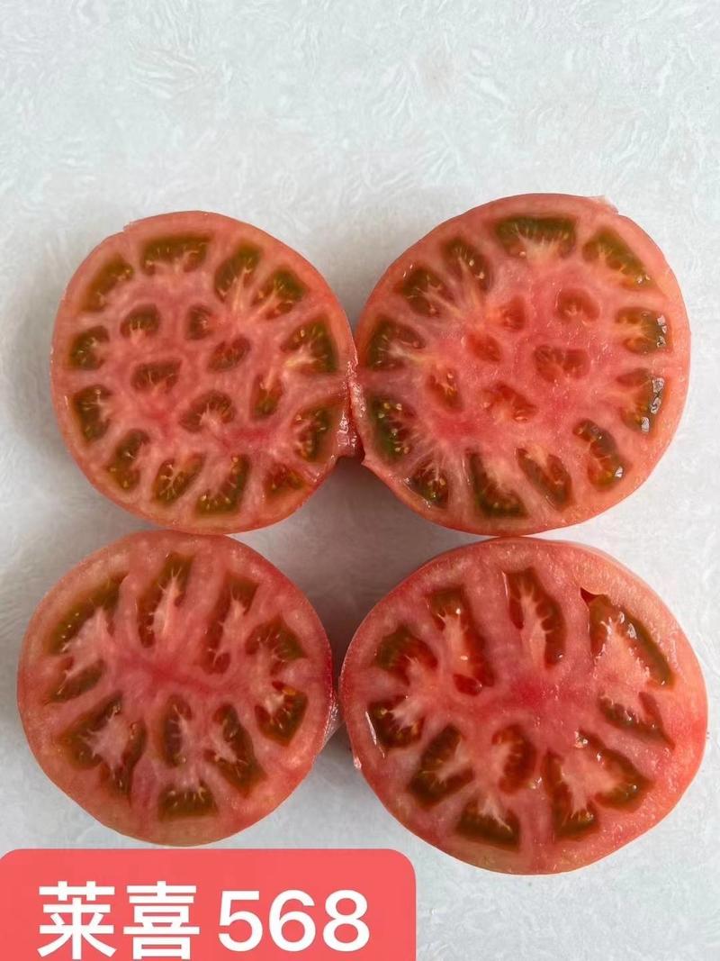 莱喜568甜沙瓤耐运输大果口感番茄品种耐裂耐运输