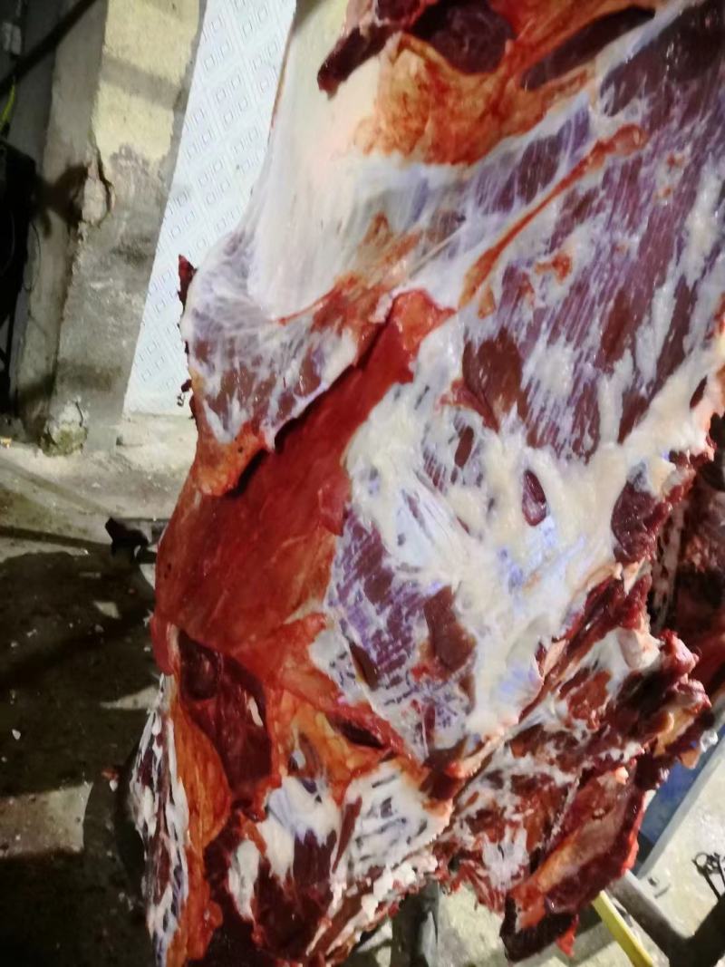 【推荐】连云港黄牛肉，肉质鲜美货量充足多年老店欢迎选购