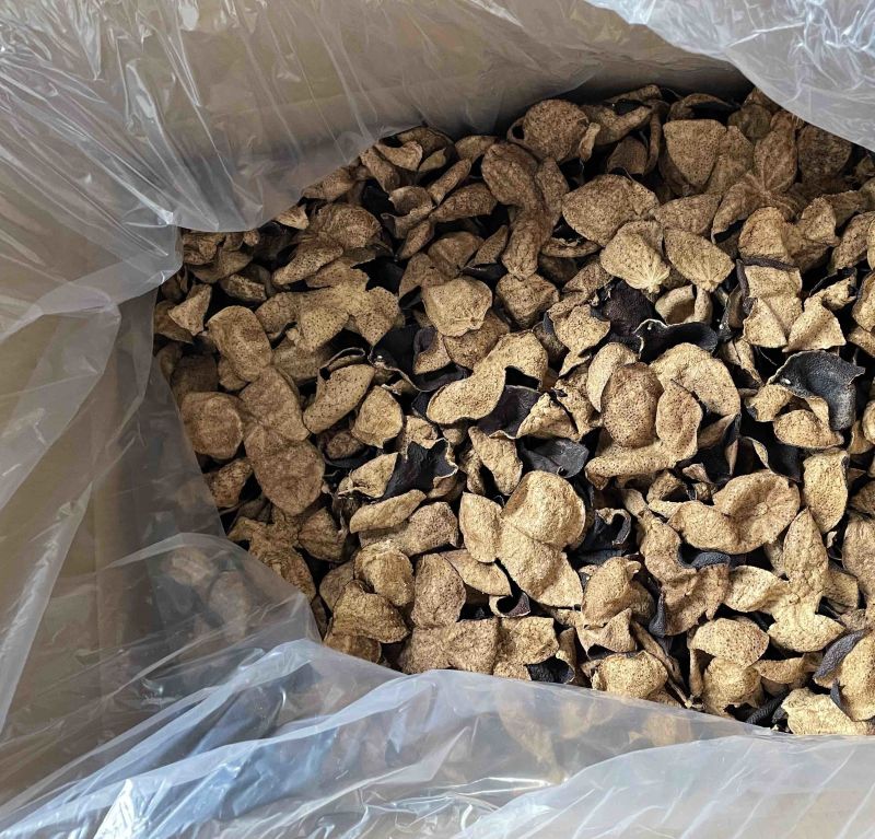 无添加货源充足大红新会陈皮