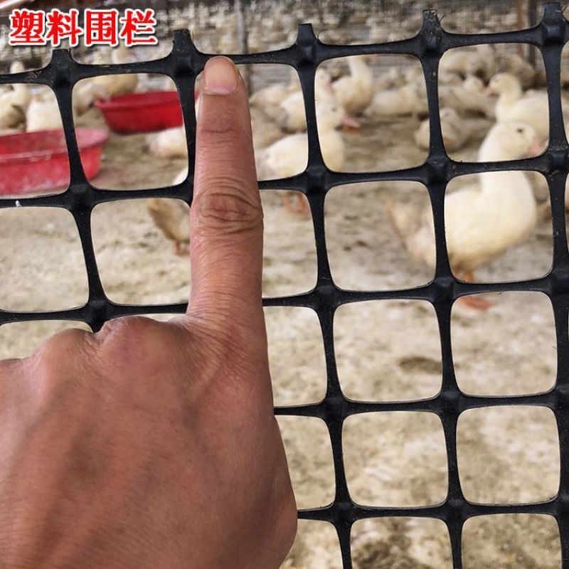 包邮塑料围栏网拦鸡鸭鹅网圈地鱼塘防护隔离网栅栏网菜园围网