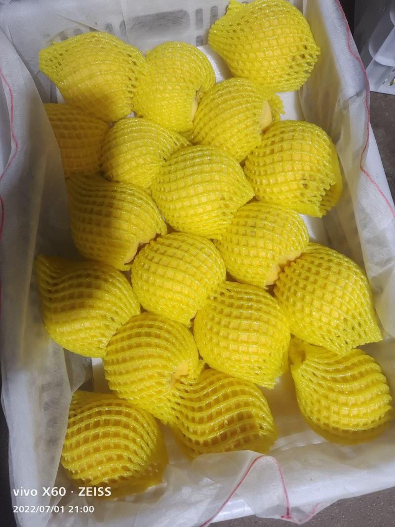 锦香黄桃大量上市