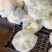 河北菜花大量上市冷库打包一条龙服务