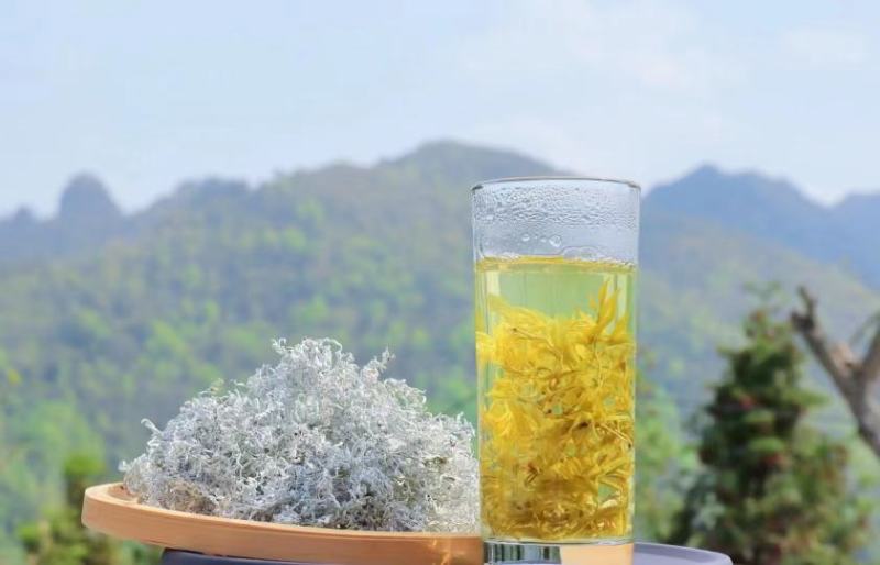 湖南张家界原产地莓茶