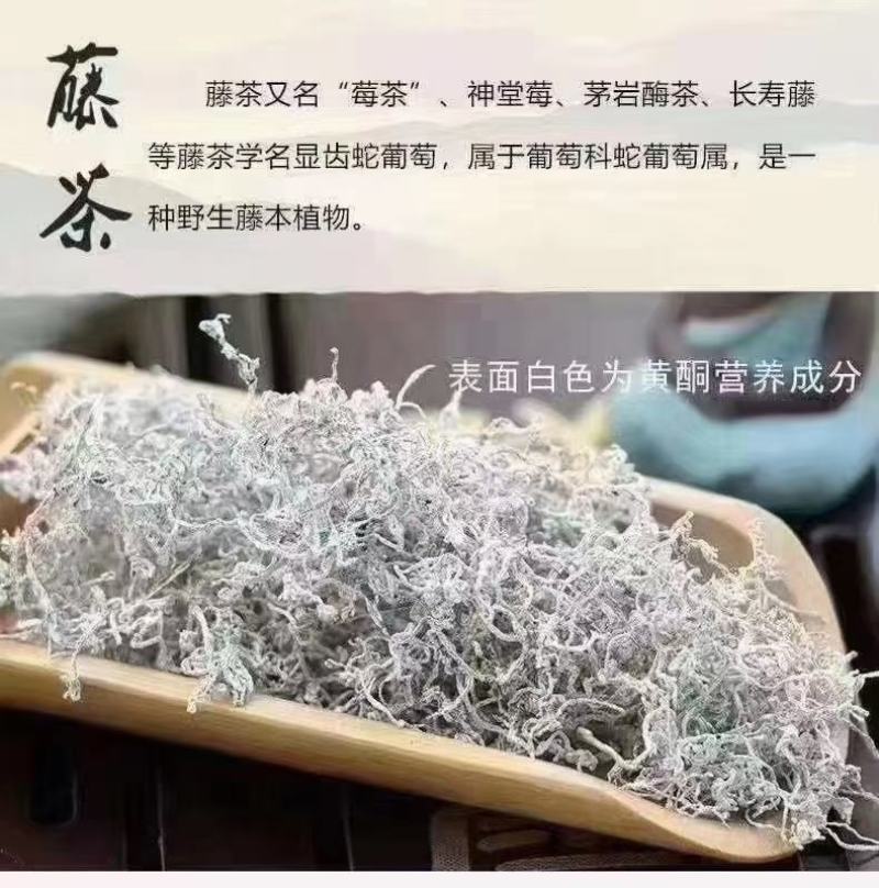 湖南张家界原产地莓茶