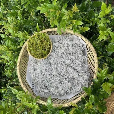 湖南张家界原产地莓茶