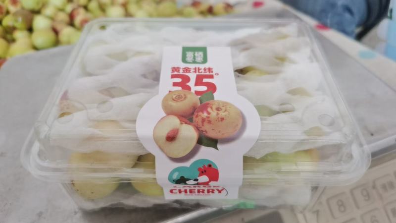 庙上冬枣