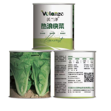 耐热耐雨水速生小白菜种子白帮绿叶品相好抗病性强