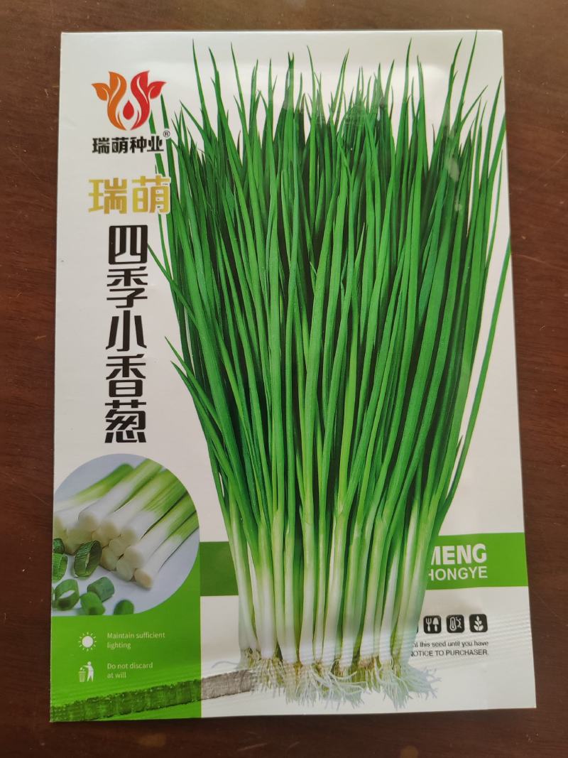 【精品】四川小香葱种子分葱种子株型美观耐寒耐热厂家直发