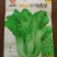 宽帮青菜种子耐寒包包菜腌渍泡菜酸菜鱼秋季四川特色芥菜种子