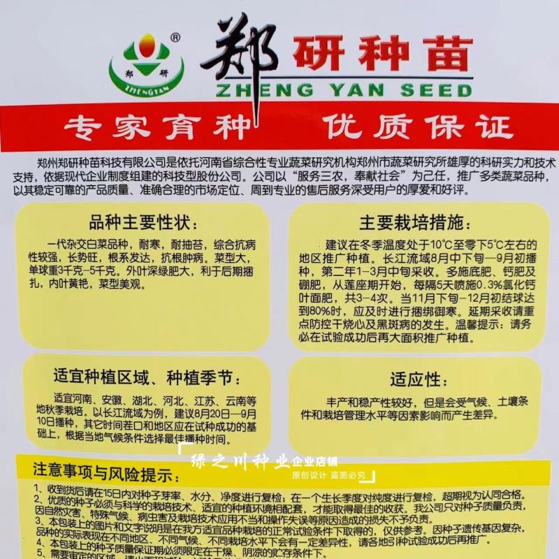 郑研进口大白菜种子CR冬美越冬大白菜种子耐寒抗根肿病