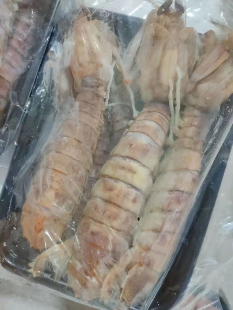 本港皮皮虾规格齐全长期供应
