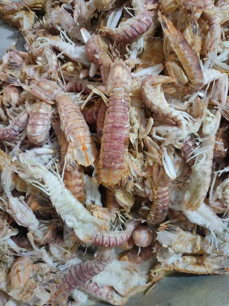 本港皮皮虾规格齐全长期供应