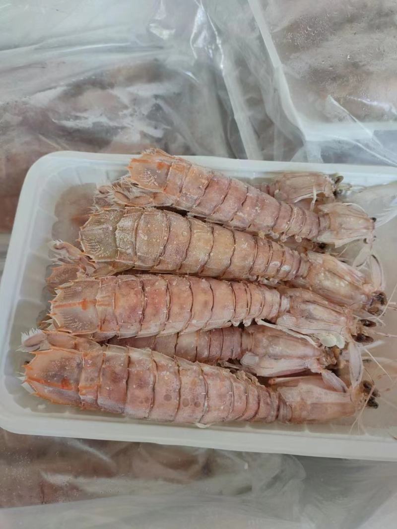 本港皮皮虾规格齐全长期供应
