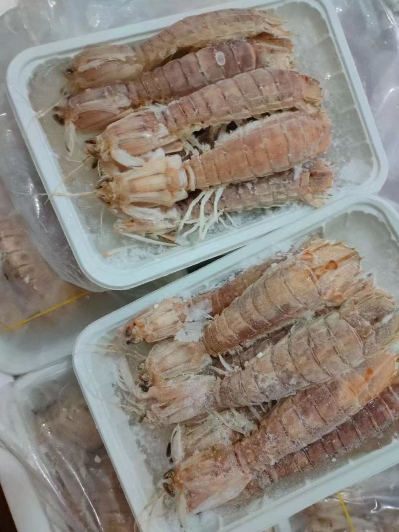 本港皮皮虾规格齐全长期供应