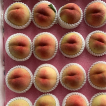 阳山水蜜桃早桃预售五月中旬上市