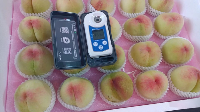正宗阳山水蜜桃湖景晚期了价格优
