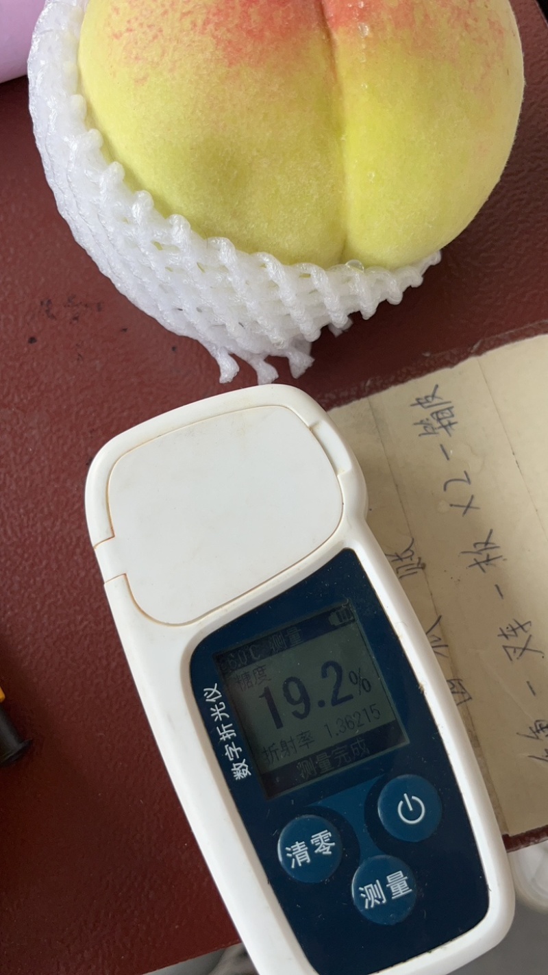 正宗阳山水蜜桃湖景晚期了价格优