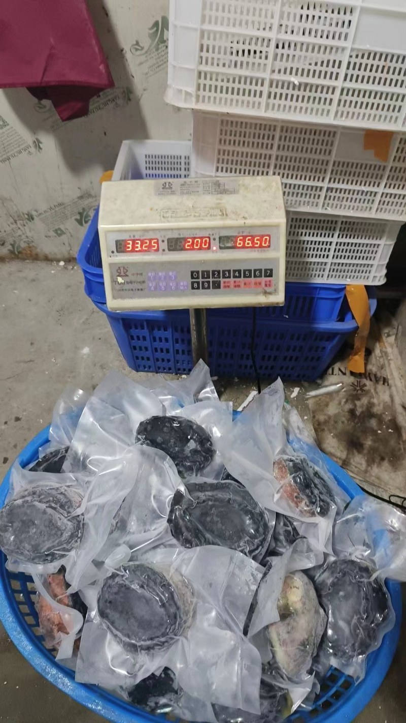 400-800g黑金鲍特价120元/斤