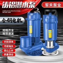 节能防烧潜水泵220V高扬程大流量抽水泵380V农田灌溉