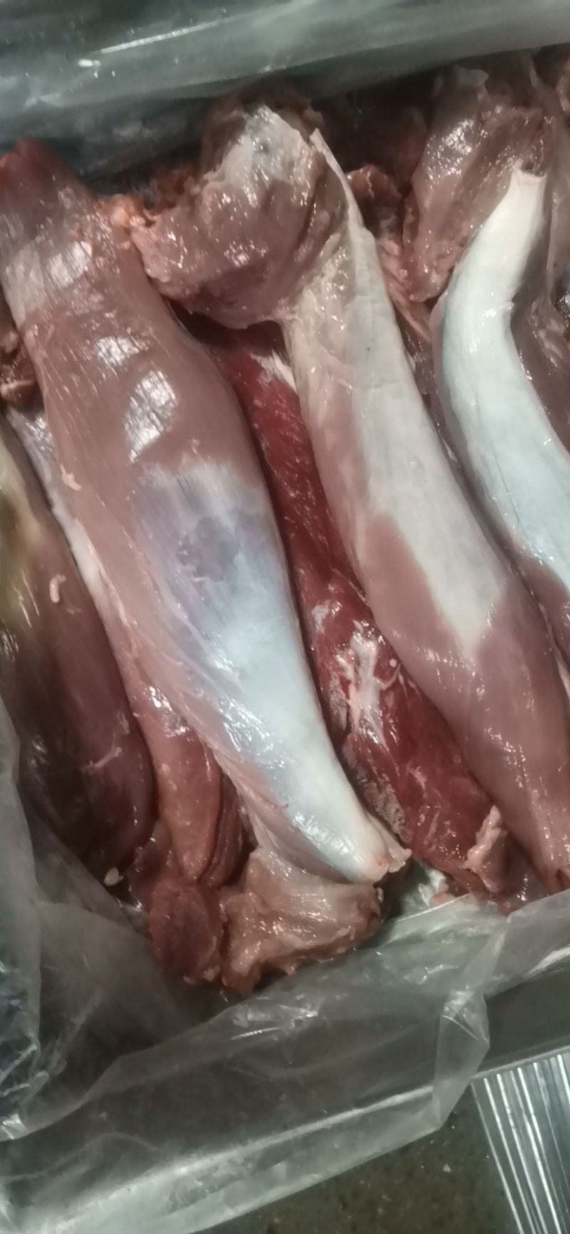 母猪五号肉，冻品鲜品都可发，新货，品质保证，供应稳定