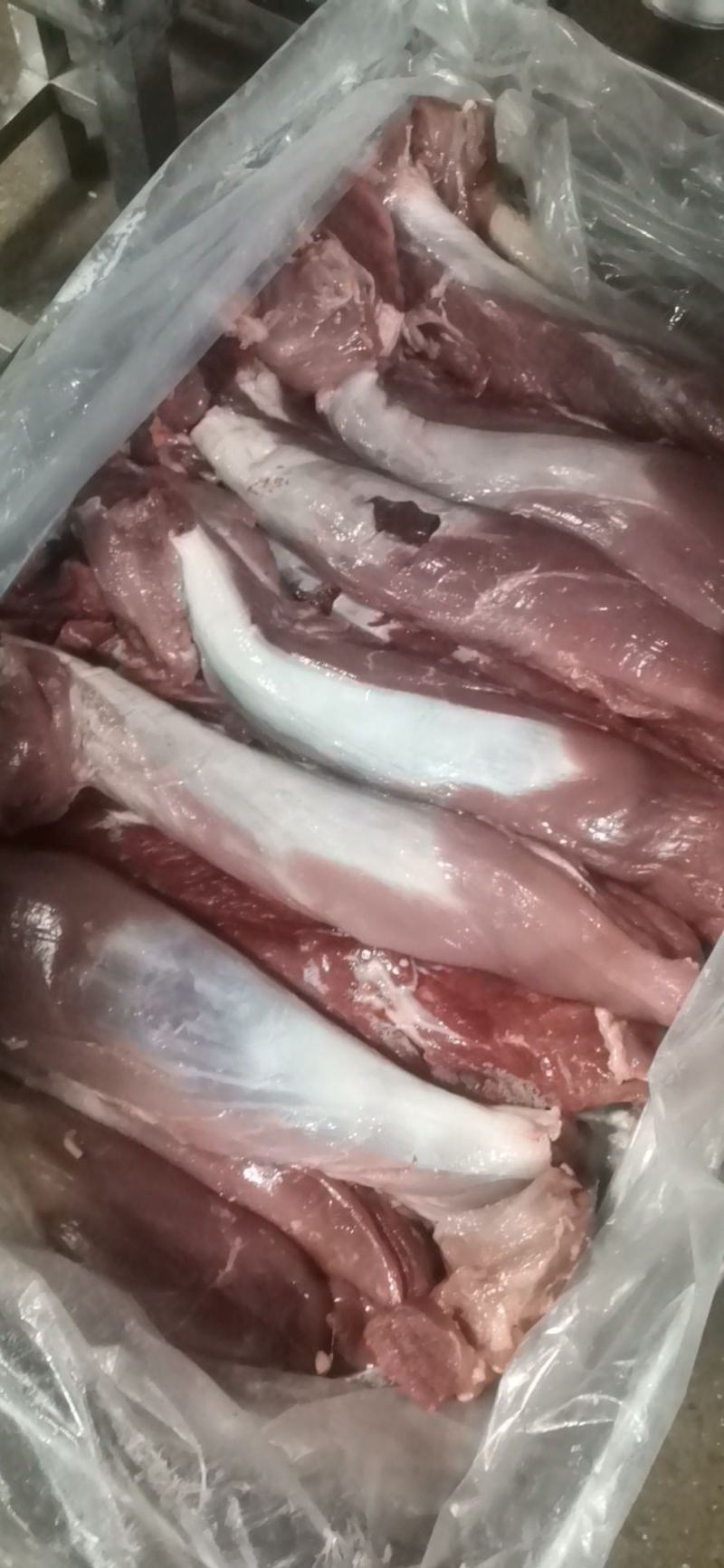 母猪五号肉，冻品鲜品都可发，新货，品质保证，供应稳定