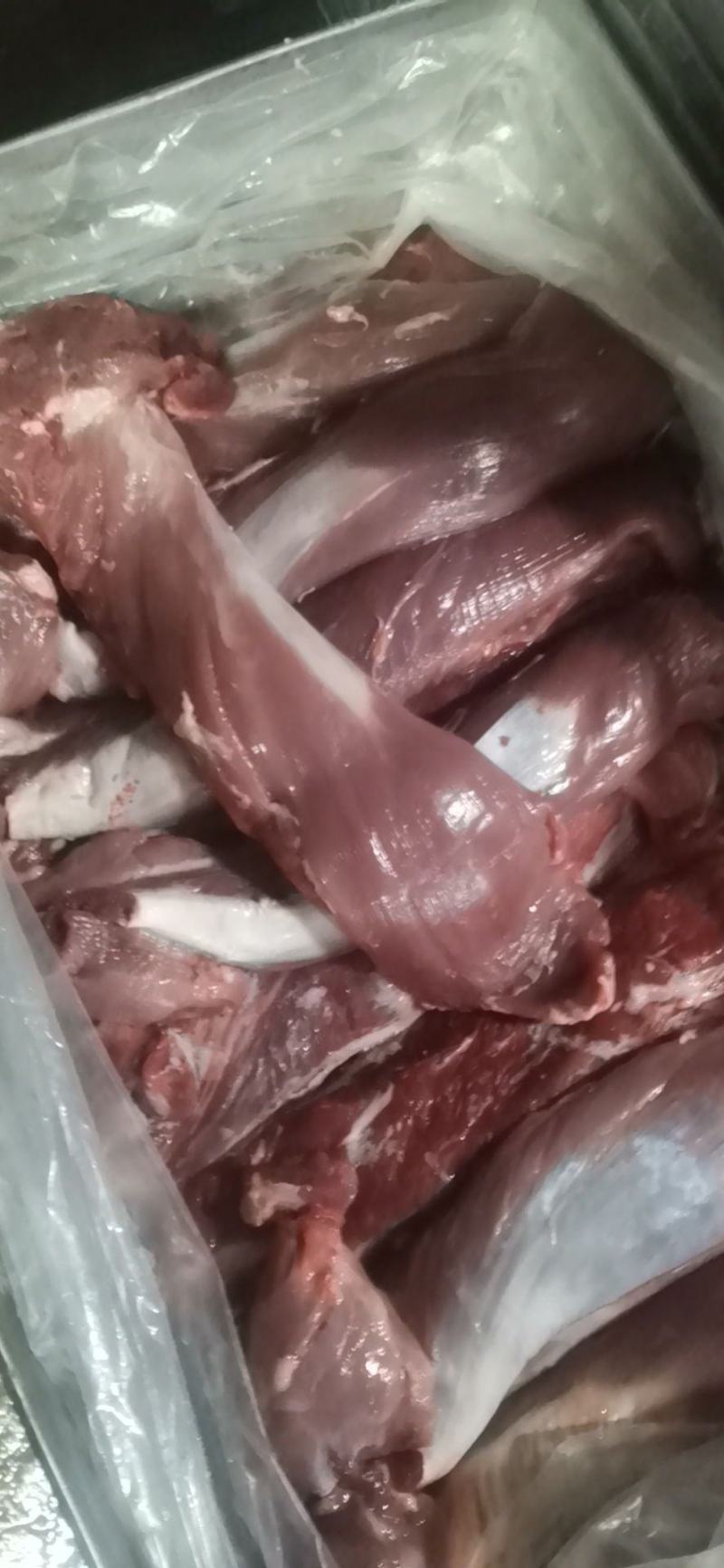 母猪五号肉，冻品鲜品都可发，新货，品质保证，供应稳定