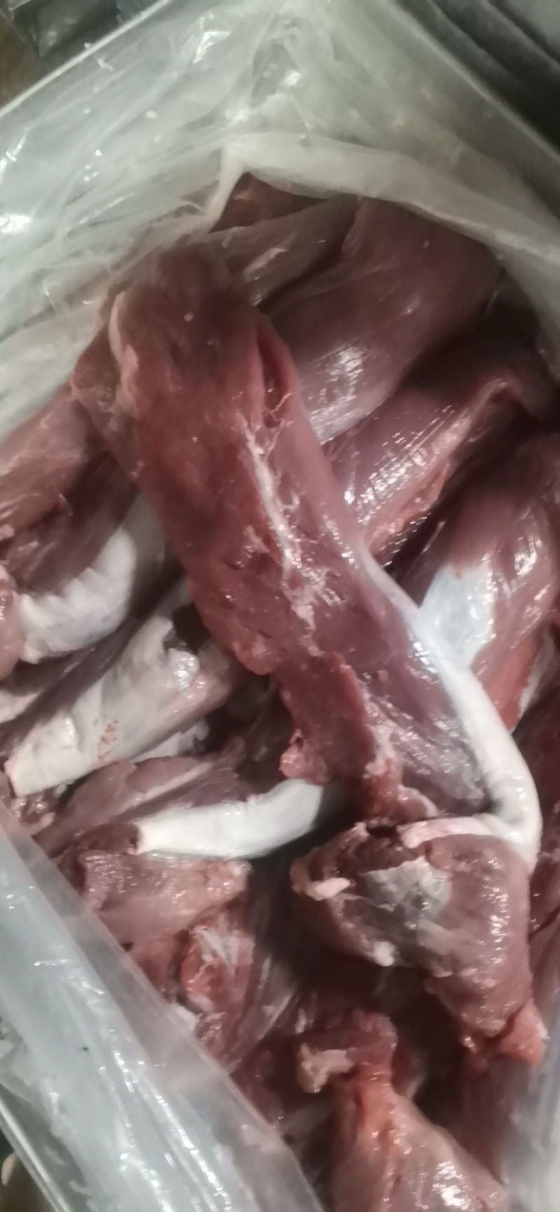 母猪五号肉，冻品鲜品都可发，新货，品质保证，供应稳定