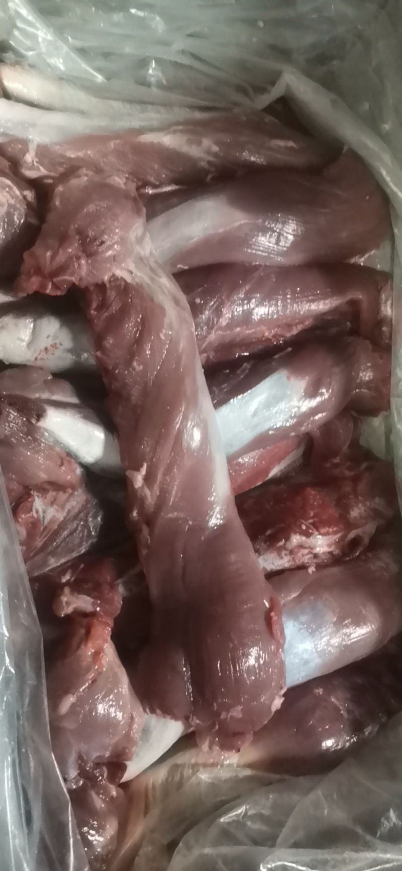 母猪五号肉，冻品鲜品都可发，新货，品质保证，供应稳定
