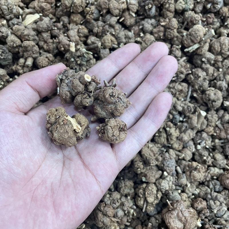 中药材批发消瘤子产地直销批发价格