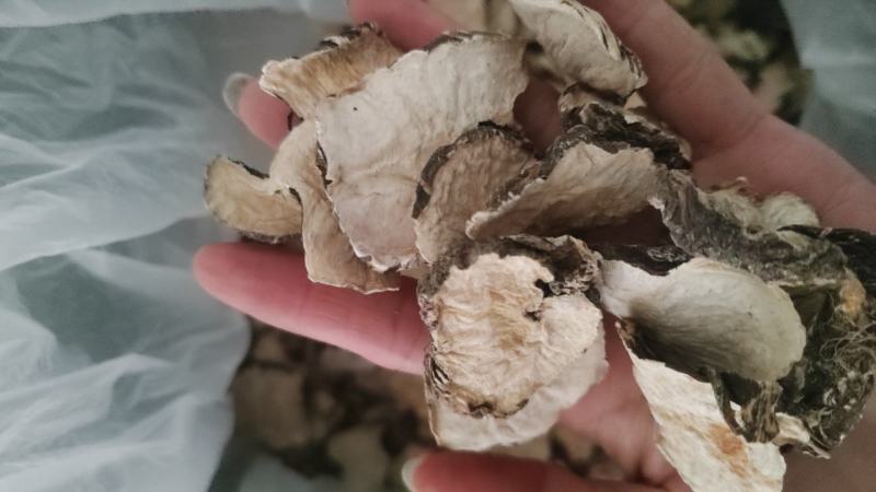 玛咖片，玛卡，一手货源，保质保量，一件代发批发各种中药材