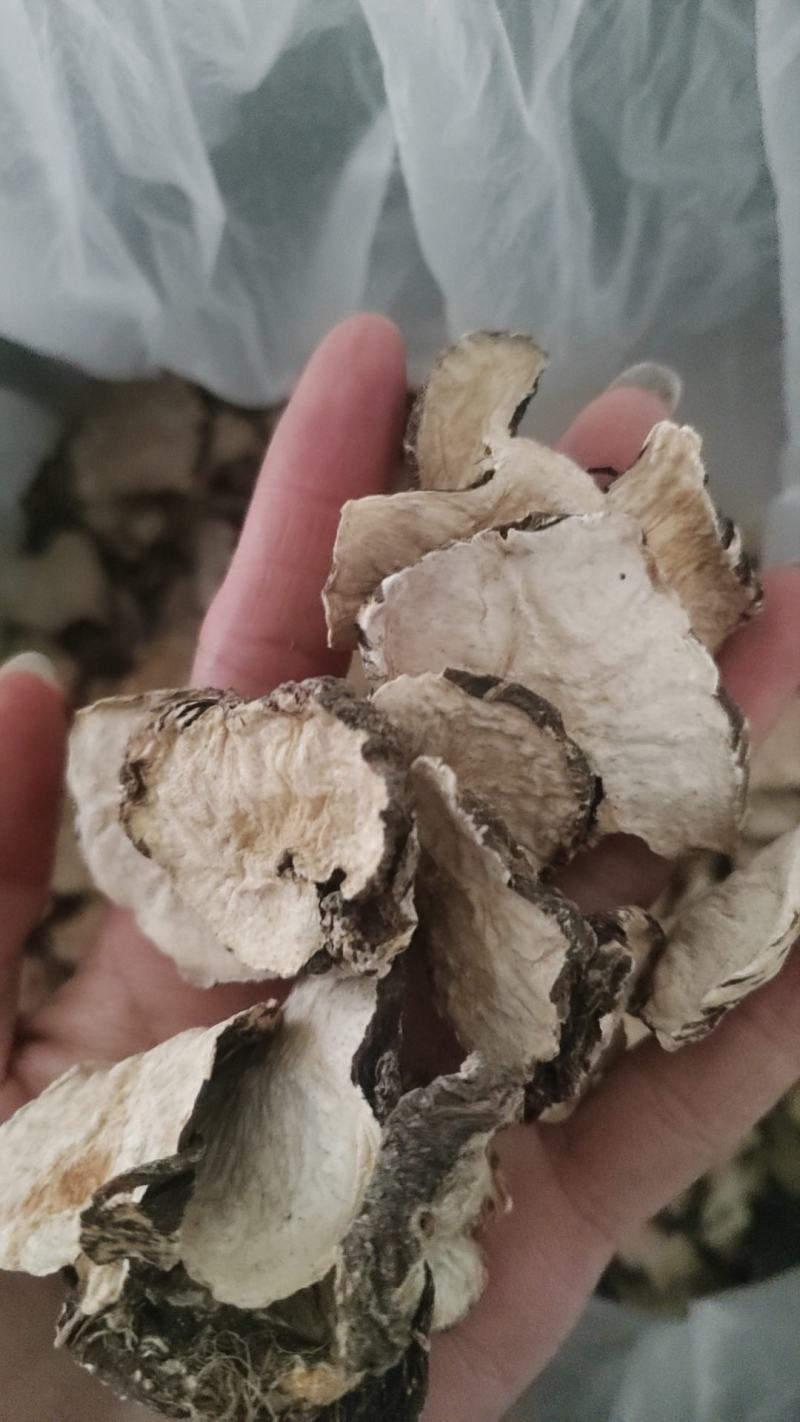 玛咖片，玛卡，一手货源，保质保量，一件代发批发各种中药材