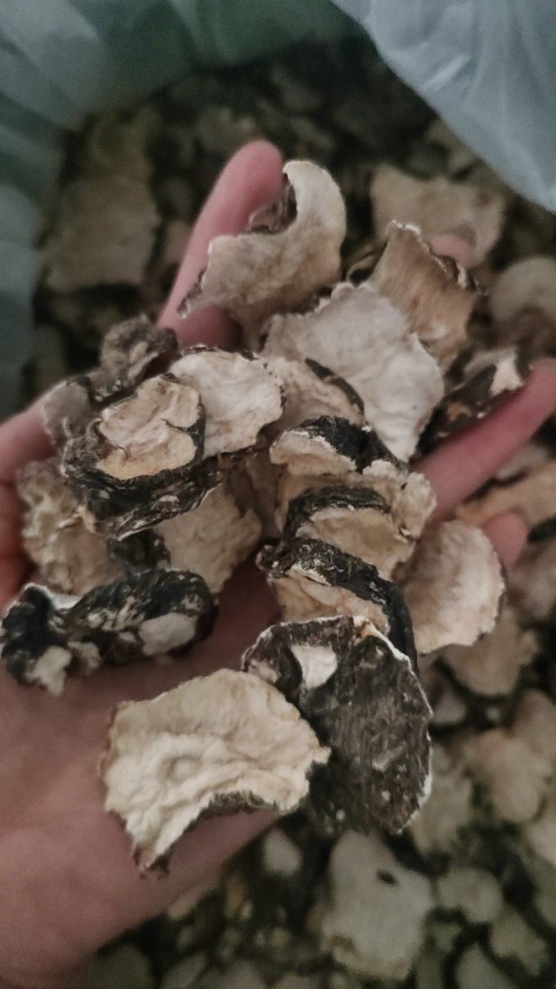 玛咖片，玛卡，一手货源，保质保量，一件代发批发各种中药材