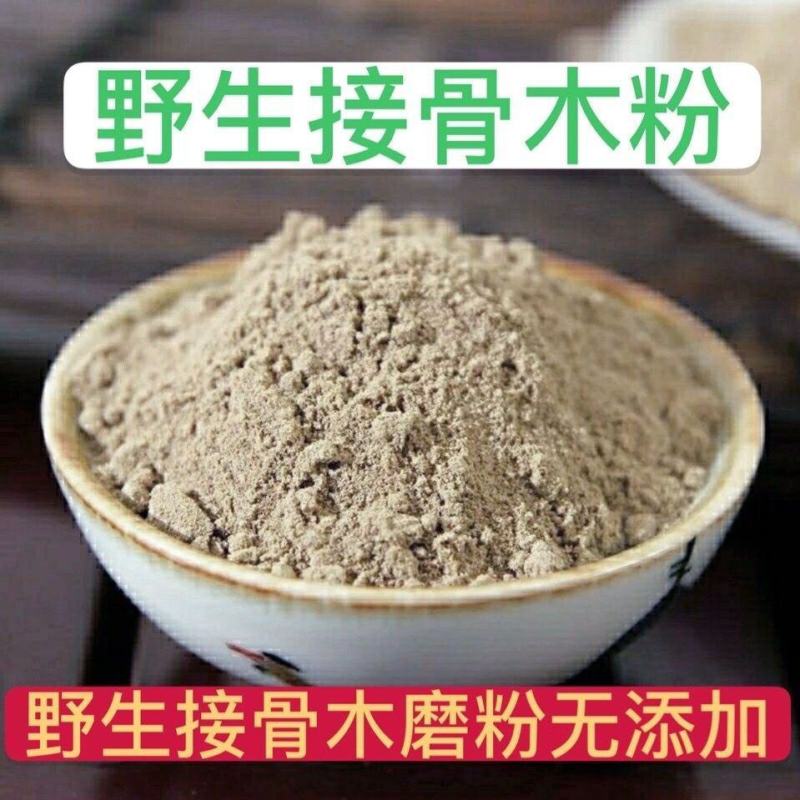 中药材接骨木粉，接骨木接骨木超细粉质量保证量大咨询价格