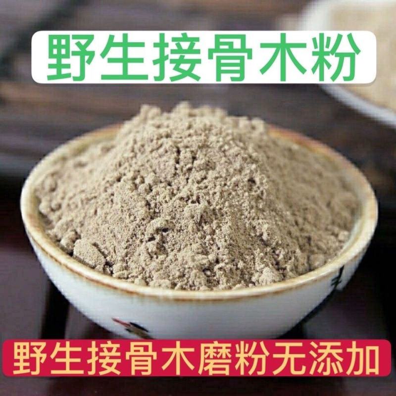 中药材接骨木粉，接骨木接骨木超细粉质量保证量大咨询价格