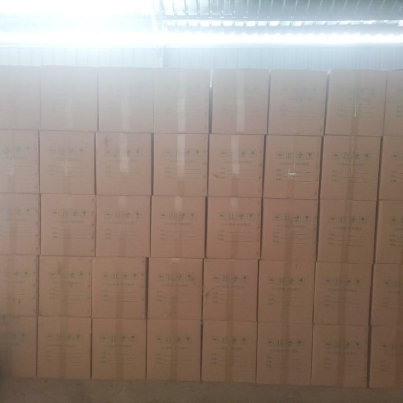 大朝山昔元古树茶