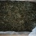 大朝山昔元古树茶