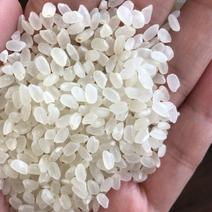 圆粒大米产地直发价格合理优惠全国发货