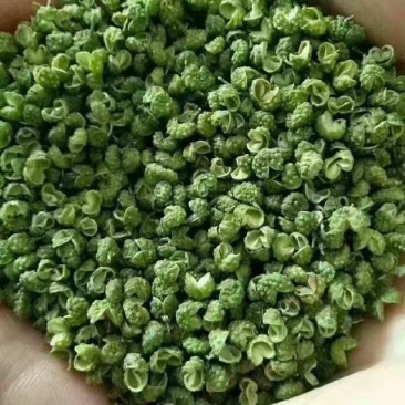 云南本地青花椒大量供应一手货源量大从优欢迎联系