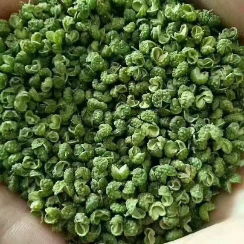 云南本地青花椒大量供应一手货源量大从优欢迎联系