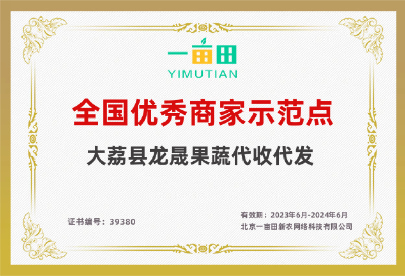 【热卖】红薯大荔板栗红薯大量上市对接电商批发商