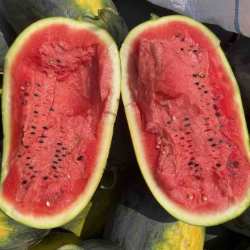 （实力商家推荐）精品黑美人西瓜🍉品质保证产地直发！