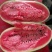 （实力商家推荐）精品黑美人西瓜🍉品质保证产地直发！