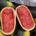 （实力商家推荐）精品黑美人西瓜🍉品质保证产地直发！