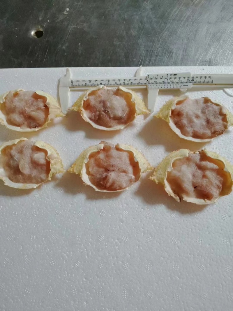 蟹宝