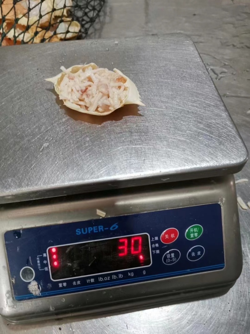 蟹宝