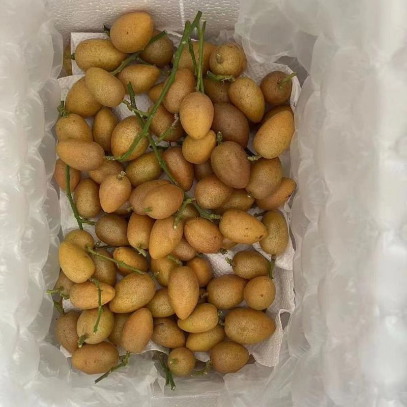 黄皮：鸡心黄皮，桂妃黄皮，無核黄皮，准备大量上市