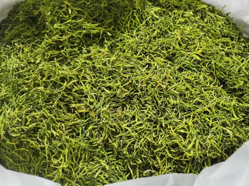 金银花/山银花