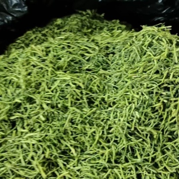 金银花/山银花