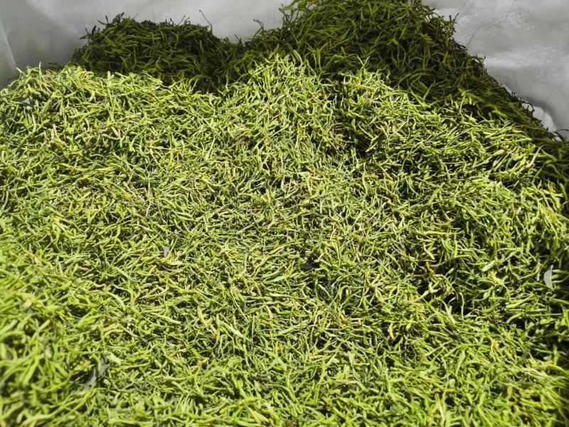 金银花/山银花