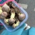 见手青牛肝菌红葱菌